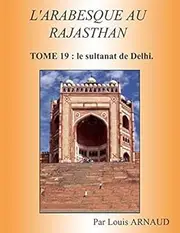 L'ARABESQUE AU RAJASTHAN: TOME 19 : le Sultanat de Delhi.