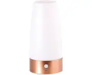 Table lamp battery, LED table lamp with PIR motion sensor, warm white (bedside lamp battery operated) LED night light