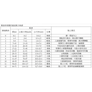 【風箏小舖】4米 巨大 老鷹 造型 風箏 -前置桿老鷹-歡迎批發、量多皆可議價