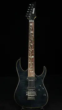 在飛比找露天拍賣優惠-進口IBANEZ RG8420 依班娜 二手電吉他