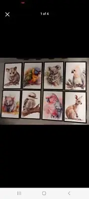 Baby Animal Prints Perfect For Nursery Australian Pictures Wall Decor A4 Koala