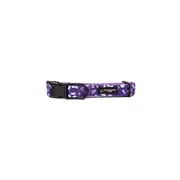 Hobart Hurricanes BBL Dog Collar