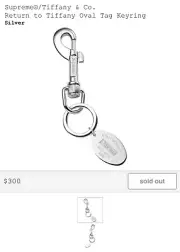 Supreme Tiffany & Co Return To Tiffany Oval Tag Keyring - FW21 confirmed order