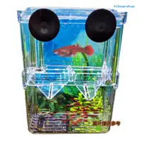 在飛比找蝦皮購物優惠-文房水族 魚苗繁殖盒 孔雀魚産魚孵化盒 魚缸隔離盒 幼魚鬥魚