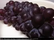 Buy Saturn Grape Fruit Vine - Vitis vinifera