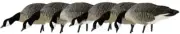 Avian X Feeder Pack APX Lessers Decoy, AVX-AVX9007 Hunting - Decoys