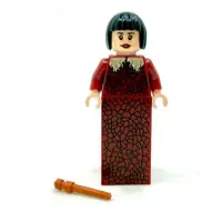 在飛比找蝦皮購物優惠-LEGO 樂高 75958 美心夫人 哈利波特 人偶