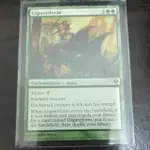 MTG 魔法風雲會 ZENDIKAR