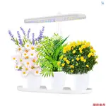 10W LED 植物燈 2/4/8H 自動開/關定時器 4 級可調光高度可調全光譜植物燈非常適合家庭桌面植物照明