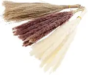 HOLIDYOYO 60Pcs Natural Dried Flower Arrangement Kit DIY Decor with Reeds Natural Reeds for Weddings Home and Party Decorations