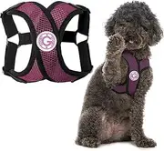 Gooby - Comfort X Step-in Harness, Choke Free Small Dog Harness with Micro Suede Trimming and Patented X Frame, Purple, X-Large