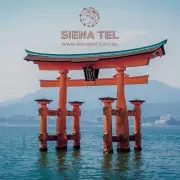 Siena Tel Japan Travel SIM Card Roaming Data Plan 7-30 days 5-30GB Plug n Play