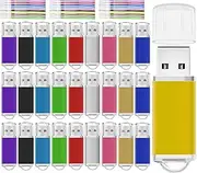[Nicepicten] USB Drive 2GB Bulk USB Flash Drives 50 Pack, Zip Drive USB 2.0 Flash Drive Pack with Lanyard, Thumb Drive Memory Stick Pen Jump Drive Multipack for Project School Office Data Storage (2GB)