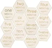 JOINPAYA 12pcs Milestone Cards Boy Welcome Month Photo Props Month Cards Newborn Photography Props Monthly Milestone Discs Cards Sign Keepsake Monthly