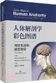 人體解剖學彩色圖譜：神經系統和感覺器官（簡體書）