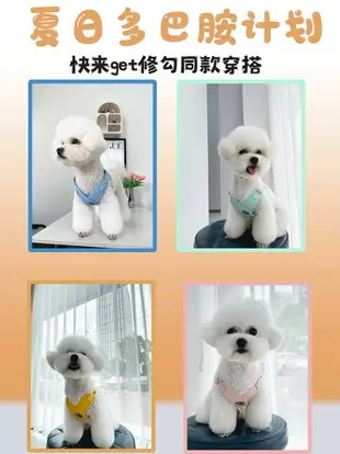 BORORO狗狗牽引繩防勒脖寵物胸背帶小型犬背心式背帶遛狗繩鏈子