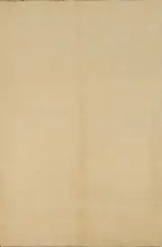 Elegant Handcrafted Gabbeh Solid Light Gold Wool Rug - Limited Edition" 3x4 ft