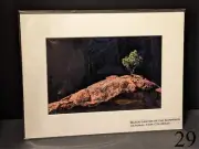 Photograph Black Canyon of the Gunnison National Park Colorado 12x16 matted Art