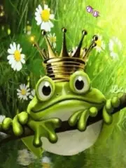 5D Diamond Painting Froggy King Kit