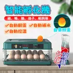 SNOWBELLE優選 【12H現貨】110V孵化器 全自動孵蛋機 孵化機 孵蛋機 抽屜式家用自動翻蛋 雞蛋鳥蛋鴨蛋鵪鶉蛋鴿子蛋鵝蛋蘆丁水床