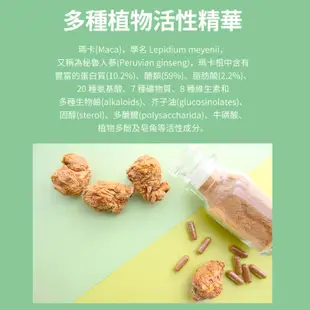 【SWANSON 美國斯旺森】 馬卡 500mg 60顆 瑪卡 草本 2000mg Maca 四倍濃縮 原裝 進口