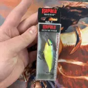 Rapala Shad Rap SR-7 Caribbean Shad