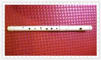 在飛比找Yahoo!奇摩拍賣優惠-孟德爾頌樂器～菲菲笛（Fife(AULOS-21)特價850