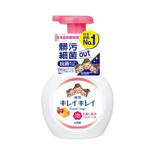 日本獅王 LION 趣淨抗菌洗手慕斯 250ml 瓶裝 洗手乳 清新果香 清爽柑橘 6848