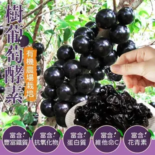 樹葡萄酵素果乾100g/包 嘉寶果 樹葡萄【全素】
