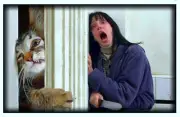 Magnet #26 Jack Is Not A Dull Cat Overlooking Cat Shining Collage Wendy