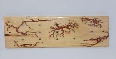 Fractal Burned Knife Holder Kitchen