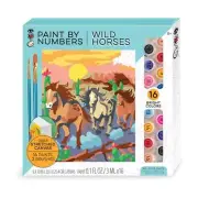 BRIGHT STRIPES Paint By Number Canvas Wild Horses (9205)