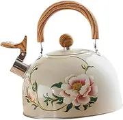 SUPVOX Water Kettle for Camping Induction Cooker Water Pot Stove Tea Kettle Induction Cooker Boiling Pot Pvc