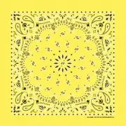 Carolina Creative Bandanna (Yellow) Paisley Print 22" x 22" Hav-A-Hank