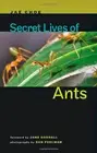 Jae Choe Secret Lives of Ants (Hardback)
