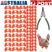 60x No Fighting Pinless Chicken Peepers Pheasant Poultry Blinders Spectacles Set