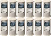 Bluonics CTO Carbon Block Replacement Water Filters (12 ) 4.5" x 10" Cartridges