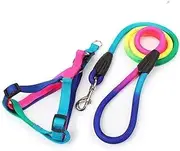Cuerda para Perro Que Camina, Cuerda para Perro, Cuerda De TraccióN para Perro De Peluche PequeñO, Cadena para Perro, Cachorro, Perro PequeñO, Cuerda para Perro Atada, Conjunto Ajustable