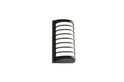 Tacoma Outdoor LED Wall Light in Black or Silver Cougar Lighting