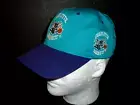 Vintage Charlotte Hornets 90's GCC Snapback Hat Cap Embroidered New Deadstock