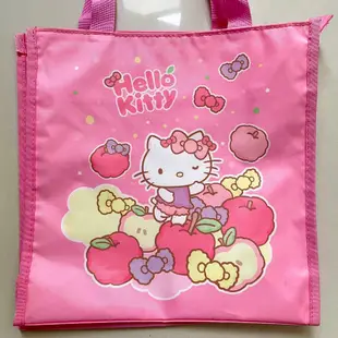 二手 Hello kitty ㄅㄆㄇ 識字卡 學習卡 認知卡 水果 拉鏈提袋 拉鍊包 提袋 三麗鷗 sanrio