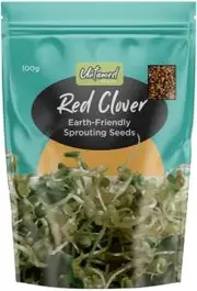 Untamed Red Clover Earth-Friendly Sprouting Seeds G/F 100g