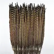 Natural Ringneck Pheasant Feathers for Crafts On The Long Feather Tail Holiday Party Wedding Decoration 50-55cm 20-22inch 10 Pcs