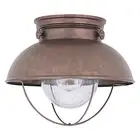 Sea Gull Lighting 8869-44 Sebring One-Light Outdoor Flush Mount Ceiling Light...