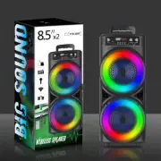 Portable Bluetooth Speaker Dual 8.5" Sub woofer Party Heavy Bass Sound System FM