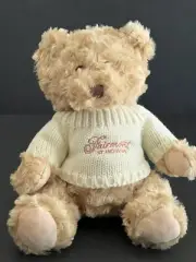 9” Soft Cute Cuddly Teddy Bear From Fairmont St. Andrews Scotland Souvenair New