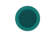 PopSockets Magsafe PopGrip Fresh Pine Soft Touch