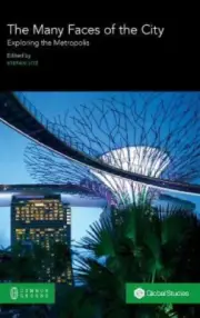The Many Faces of the City: Exploring the Metropolis by Stefan Litz