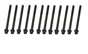 # 81027500 CRP Engine Cylinder Head Bolt Set