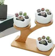 Small Succulent Pots | Planter Pots Indoor with Drainage | Ceramic Succulent Planter for Garden Kitchen Home Desk Decorations